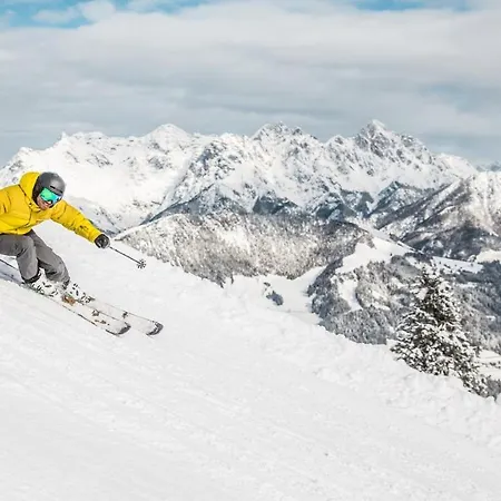 Hotel Alpin Tyrol - Kitzbueheler Alpen 3*