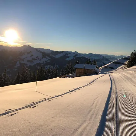 호텔 Alpin Tyrol - Kitzbueheler Alpen 상트조한인티롤