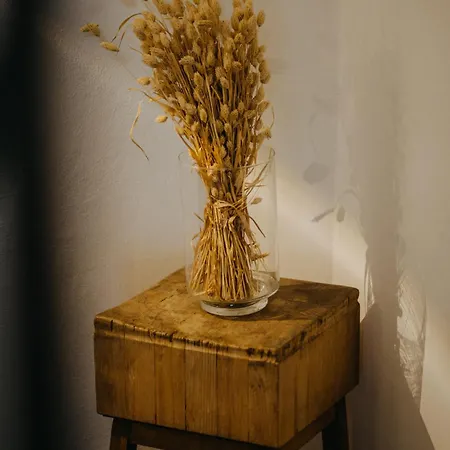 Alpin Tyrol - Kitzbueheler Alpen