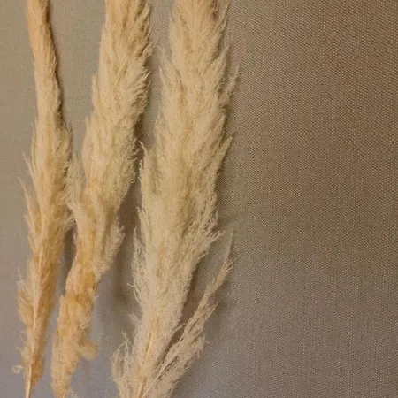 Alpin Tyrol - Kitzbueheler Alpen فندق سانكت يوهان ان تيرو