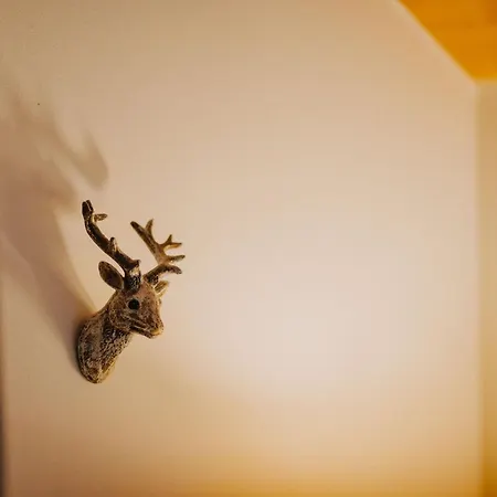 فندق Alpin Tyrol - Kitzbueheler Alpen