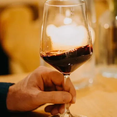 فندق Alpin Tyrol - Kitzbueheler Alpen